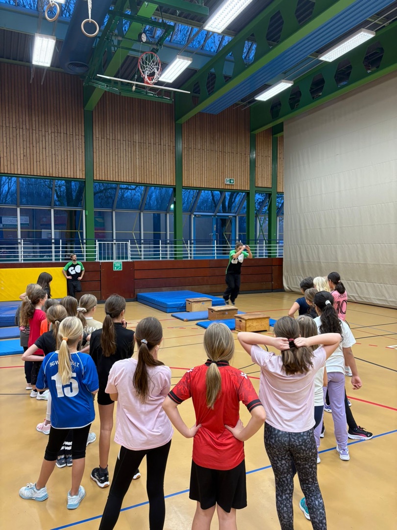 2025 11 26 Gorilla Parcours 2